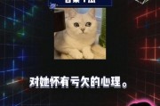 吃瓜网娱乐八卦视频在线观看